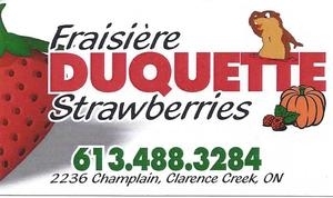 Fraisière Duquette Strawberries 