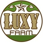 Ferme Luxy Farm